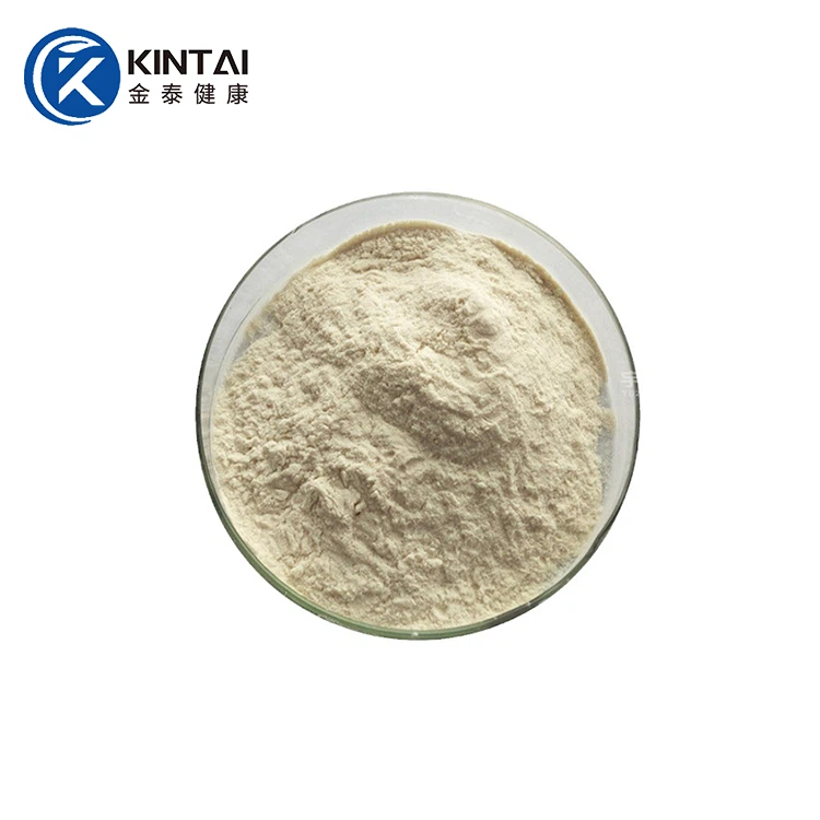 Natto fermentlangan kukun nattokinaz