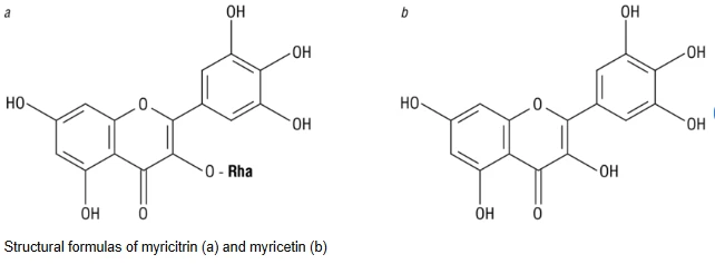 Myricitrin And Myricetin Myricitrin And Myricetin